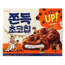 Biscuit au Chocolat 12Pcs 240G [Chungwoo]