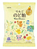포켓몬 사과 목캔디 Bonbons Pour La Gorge Pomme Pokémon 75G [Lotte]
