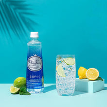 Thé Glacé au Citron 500ML [Dongwon]