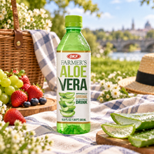 OKF Farmer’s Aloe Vera Original 500 ml, boisson coréenne à l’aloe vera présentée dans une ambiance de pique-nique avec aloe vera frais