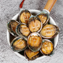 Frozen / 자숙 전복 Ormeau Cuit Surgelé 220G [Suhyup]