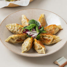 Frozen / Mandu au Barbecue de Bœuf 525G [Bibigo]