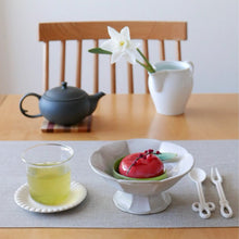 카고시마 유기농 센차 Kagoshima Yuuki Sencha 500G [Chayuken] DDM 20.02.2026