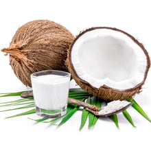 고농도 코코넛 밀크 Lait de Coco Riche 250ML [BambooTree]