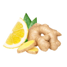 민티아 보이스 레몬생강맛 Mintia Voice Citron Gingembre 20G [Asahi]