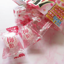 생 매실 사탕 Nama Ume Bonbon 110G [Ribon] DDM 31.12.2025