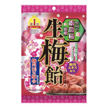 생 매실 사탕 Nama Ume Bonbon 110G [Ribon] DDM 31.12.2025