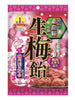 생 매실 사탕 Nama Ume Bonbon 110G [Ribon]