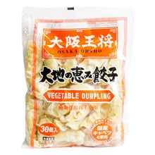 Frozen / 야채 만두 30개입 Ravioli aux légumes 30P 510G [Eat&foods]