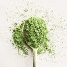 Poudre de Matcha 40G [Hishiwaen]