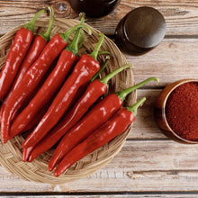 Poudre de Piment Pour Kimchi 1KG [Hansung] DDM 26.02.2027