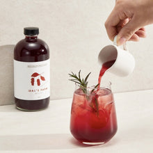 빨간맛 오미자 Sirop de Baies de Schisandra [DalsFarm]
