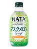머스크 멜론 소다 Soda au Melon Musqué 300ML [Hatakosen]