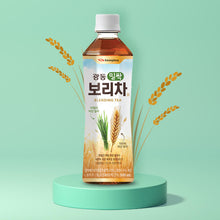 밀싹 보리차 Thé d’Orge aux Pousses de blé 500ML [Kwangdong] DDM 17.08.2026