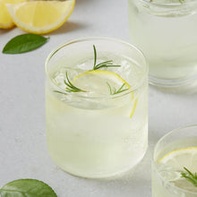 레몬 녹차 제로 Thé Vert au Citron Sans Sucre 500ML [Wells] DDM 02.03.2027