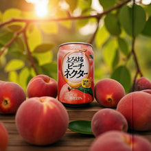 넥타 복숭아 음료 Torokeru Nectar Jus de Pêche 270ML [Dydo]