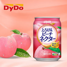 넥타 복숭아 음료 Torokeru Nectar Jus de Pêche 270ML [Dydo]
