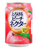 넥타 복숭아 음료 Torokeru Nectar Jus de Pêche 270ML [Dydo]