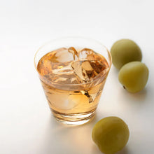 매실주 Umesyu Alcool de Prune 500ML 13-14% [Hakutsuru]