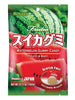 수박 젤리 Watermelon Gummy 107G [Kasugai]