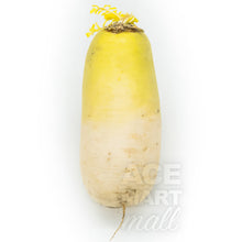 Fresh / Radis Blanc Coréen [Ace Food]