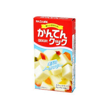 한천 키트 Kanten Cook Kit 16G [Ina Shokuhin] DDM 30.06.2027