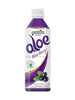 Aloe Blueberry 500ML [Paldo]