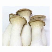 Fresh / Champignon Pleurote Royal 200G [Ace Food]