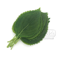 feuilles-de-sesame-35g-ace-food