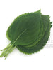 feuilles-de-sesame-35g-ace-food
