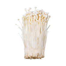 Fresh / Champignons 100G [Kongying]