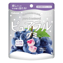 포도 구미 젤리 Pureral Gummy Raisin 58G [Kabaya] 31.08.2022