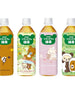 리락쿠마의 녹차 RILAKKUMA NO RYOKUCHA 500ml [DYDO]