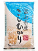 고시히카리 쌀 Toyama Koshihikari Riz Japonais 5KG [Shinmei]